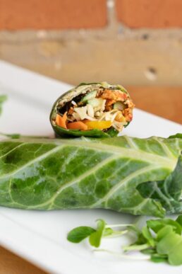 healthy-salad-roll