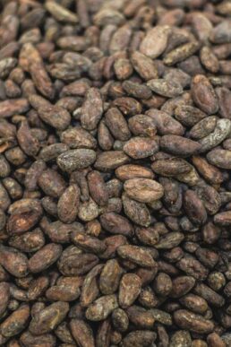 raw-cacao-beans