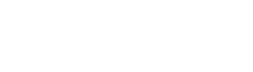 wordpress light